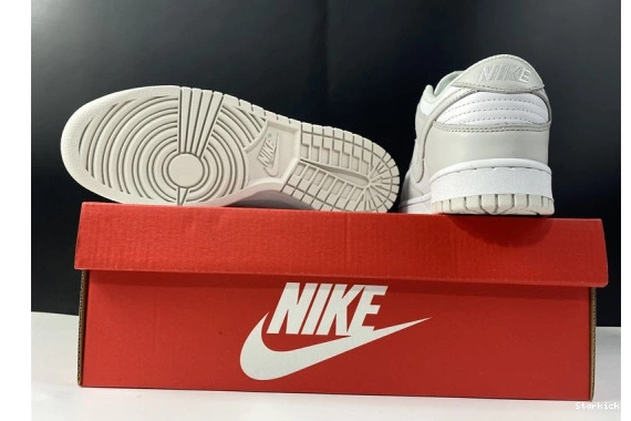 Dust" Nike Low DD1503-103 "Photon Dunk 1107